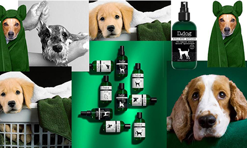 D Dog Pet Beauty appoints WIZARD